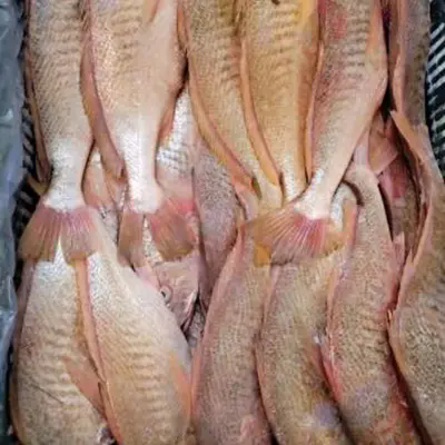 Welche versteckten Variablen verändern den gelandeten Wert von Premium Frozen Yellow Croaker Whole Round?