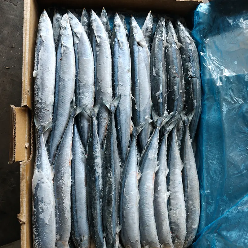 Was macht Pacific Saury zu einer praktischen Wahl für Käufer von Meeresfrüchten?