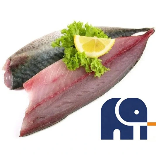 Pazifisches Makrelenfilet ohne Knochen