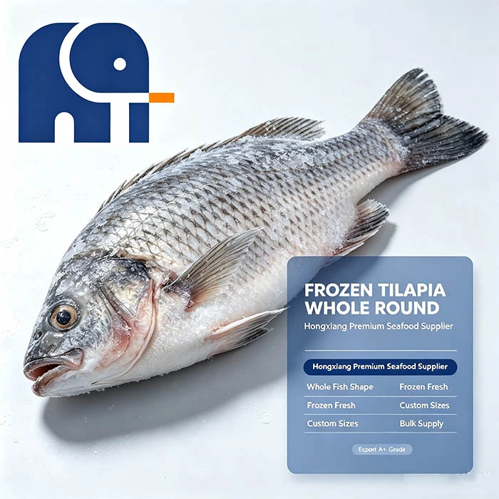 Gezüchteter gefrorener Tilapia, ganz rund