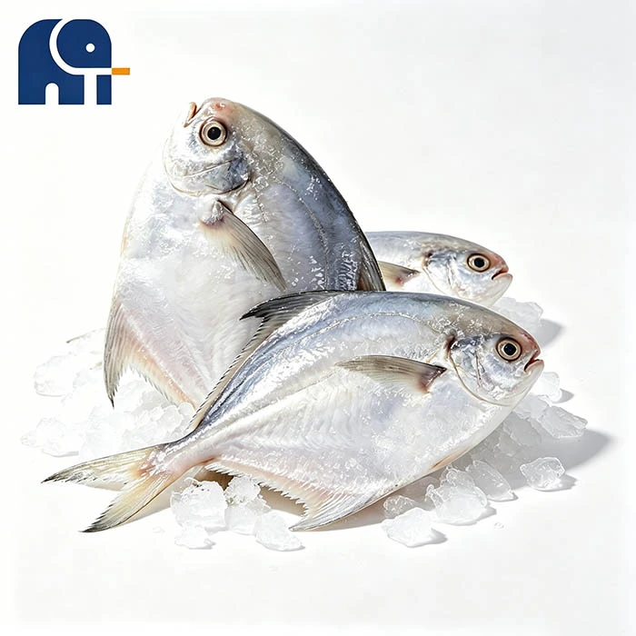 IQF mit glasiertem weißen Pomfret