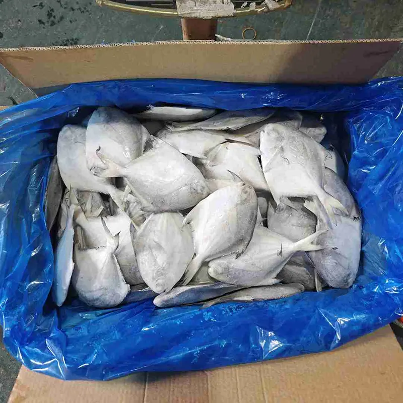 Premium-Karton, weißer Pomfret, ganz rund