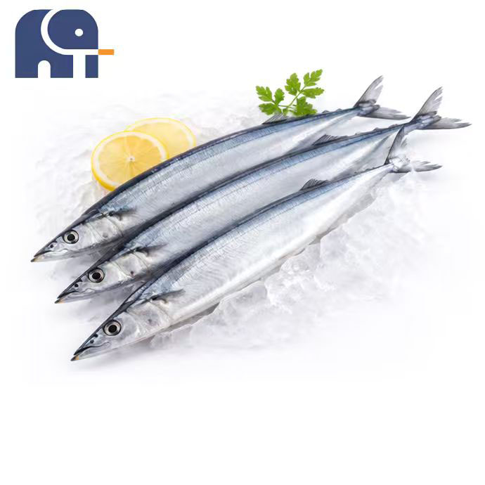 Wintergefrorener pazifischer Saury, ganze Runde